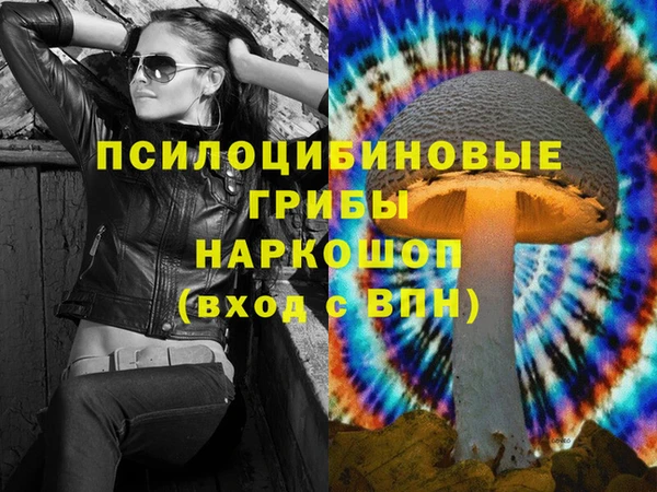 марки lsd Ельня
