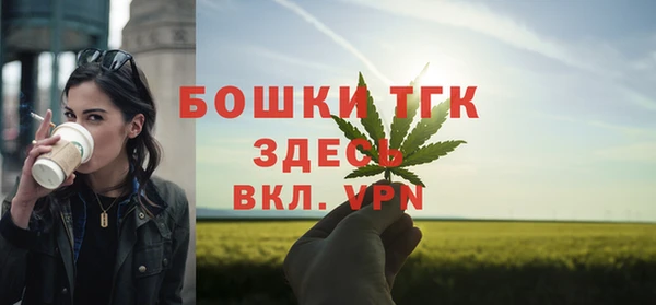 твердый Елизово