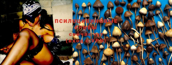 твердый Елизово