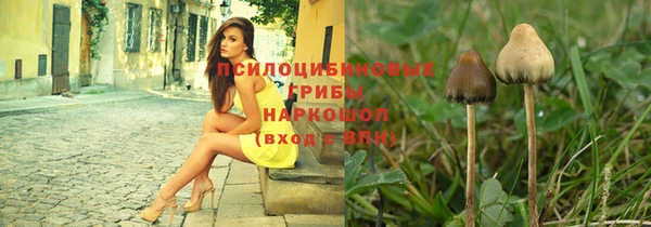 твердый Елизово