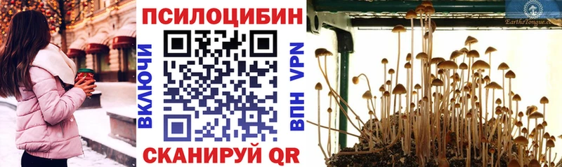 где можно купить наркотик  мега ссылка  Псилоцибиновые грибы мухоморы  Ишимбай 